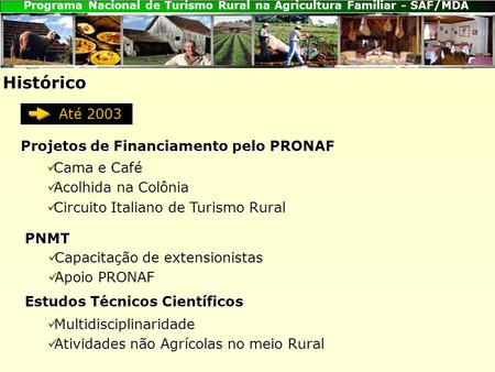 Histórico Até 2003 Projetos de Financiamento pelo PRONAF Cama e Café