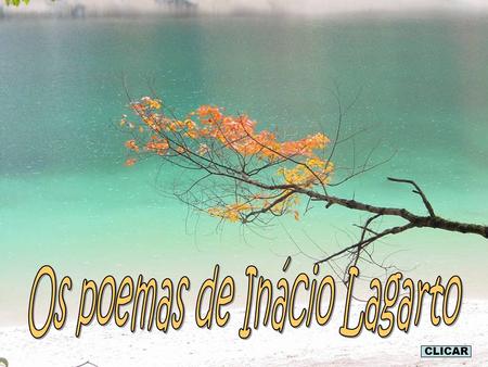 Os poemas de Inácio Lagarto