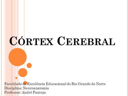 Córtex Cerebral Faculdade de Excelência Educacional do Rio Grande do Norte Disciplina: Neuroanatomia Professor: André Pantoja.