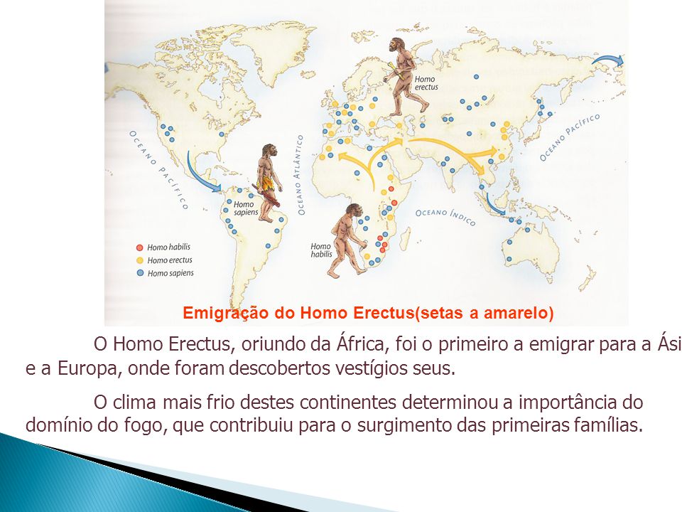 Resultado de imagem para homo erectus da áfrica para a europa