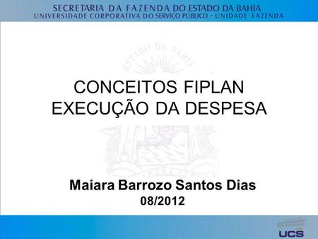 CONCEITOS FIPLAN EXECUÇÃO DA DESPESA