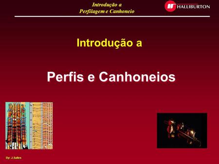 Introdução a Perfis e Canhoneios.