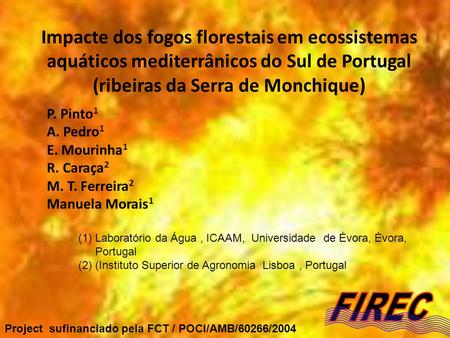 Impacte dos fogos florestais em ecossistemas aquáticos mediterrânicos do Sul de Portugal (ribeiras da Serra de Monchique) P. Pinto 1 A. Pedro 1 E. Mourinha.