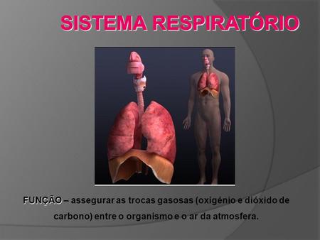 SISTEMA RESPIRATÓRIO FUNÇÃO – assegurar as trocas gasosas (oxigénio e dióxido de carbono) entre o organismo e o ar da atmosfera.