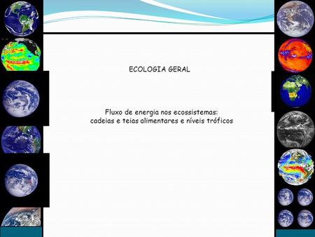 CNE Ecologia de Ecossistemas