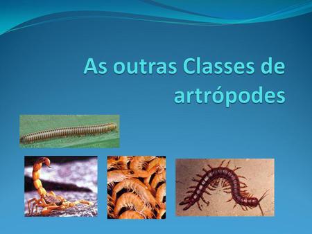 As outras Classes dos artrópodes