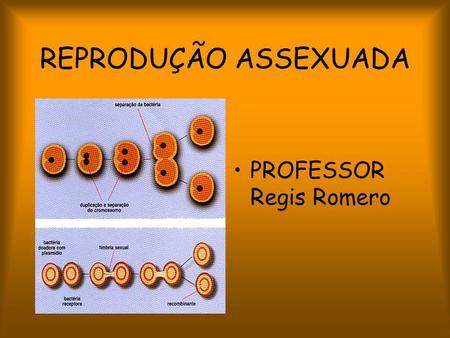 REPRODUÇÃO ASSEXUADA PROFESSOR Regis Romero.