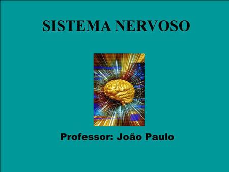 SISTEMA NERVOSO Professor: João Paulo.