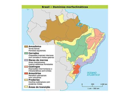 Na década de 1960, o geógrafo Aziz Ab’ Saber reuniu as principais características do relevo e do clima das regiões brasileiras para formar, Com os elementos.