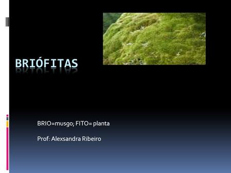 BRIO=musgo; FITO= planta Prof: Alexsandra Ribeiro