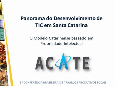 Panorama do Desenvolvimento de TIC em Santa Catarina