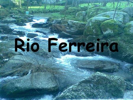 Rio Ferreira.
