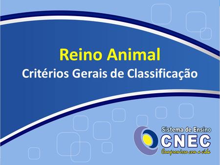 Reino Animal Critérios Gerais de Classificação
