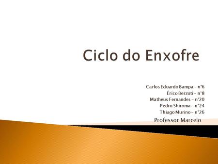 Ciclo do Enxofre Professor Marcelo Carlos Eduardo Bampa – n°6