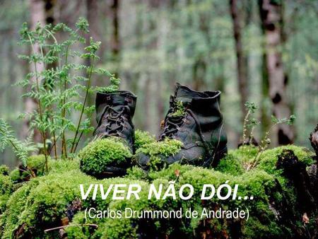 VIVER NÃO DÓI...   (Carlos Drummond de Andrade)