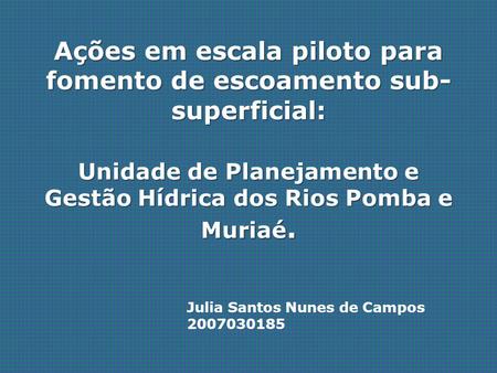 Ações em escala piloto para fomento de escoamento sub-superficial: Unidade de Planejamento e Gestão Hídrica dos Rios Pomba e Muriaé. Julia Santos Nunes.