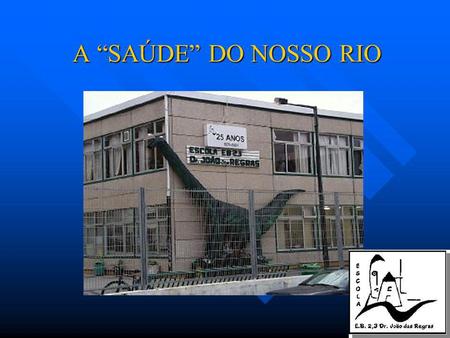 A SAÚDE DO NOSSO RIO. Projecto Educativo Uma organização curricular onde cabem os percursos regulares, os PIEF/PETI, os currículos alternativos, os que.