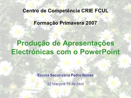 Produção de Apresentações Electrónicas com o PowerPoint Centro de Competência CRIE FCUL Formação Primavera 2007 Escola Secundária Pedro Nunes 22 Março.