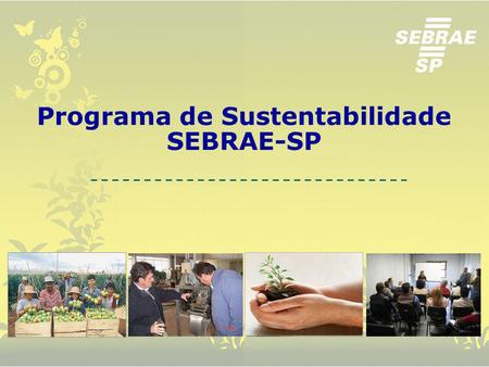 Programa de Sustentabilidade SEBRAE-SP