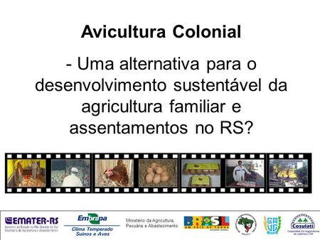 Avicultura Colonial - Uma alternativa para o desenvolvimento sustentável da agricultura familiar e assentamentos no RS?