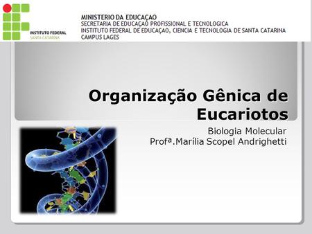 Organização Gênica de Eucariotos