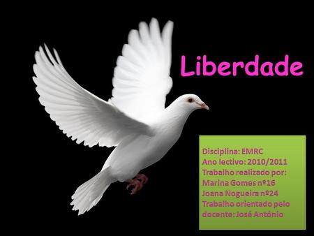 Liberdade Disciplina: EMRC Ano lectivo: 2010/2011