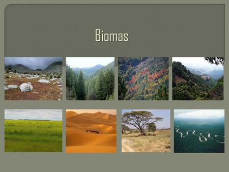 Biomas ..