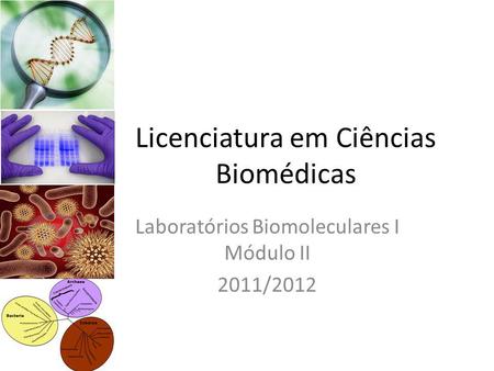 Licenciatura em Ciências Biomédicas