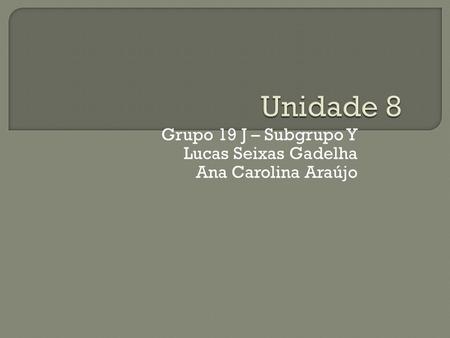 Grupo 19 J – Subgrupo Y Lucas Seixas Gadelha Ana Carolina Araújo.