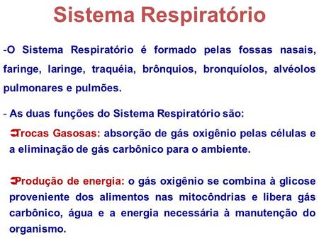 Sistema Respiratório O Sistema Respiratório é formado pelas fossas nasais, faringe, laringe, traquéia, brônquios, bronquíolos, alvéolos pulmonares e pulmões.