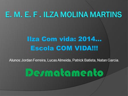 E. M. E. F . Ilza Molina Martins