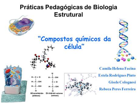Práticas Pedagógicas de Biologia Estrutural