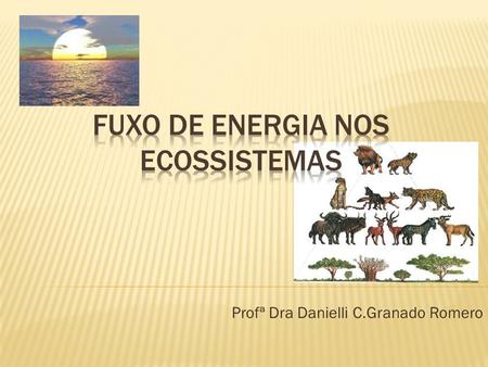 FUXO DE ENERGIA NOS ECOSSISTEMAS