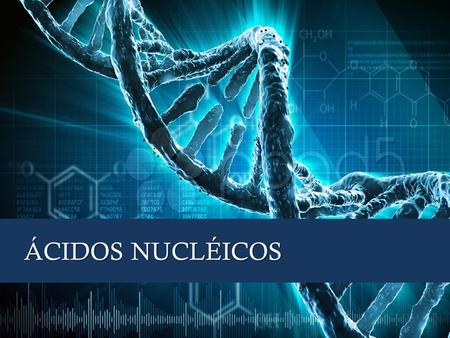 ÁCIDOS NUCLÉICOS. DNA RNA Nos núcleos das células, das mitocôndrias e dos cloroplastos encontramos dois tipos de ácidos nucléicos: