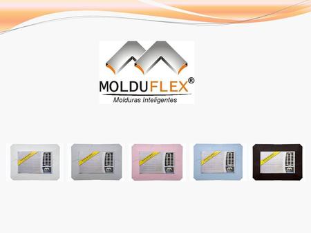 Institucional A Molduflex é uma empresa sediada em Recife, fundada em 23 de Abril de Inspirada na idéia de um dos seus sócios, a Molduflex lança.