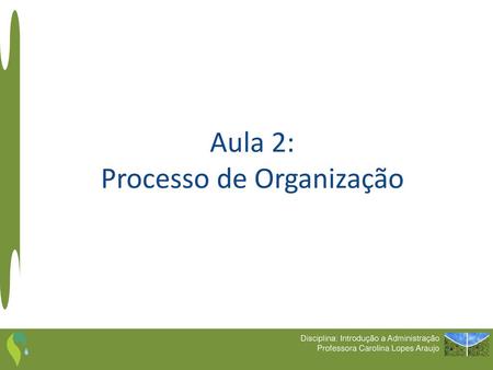 Aula 2: Processo de Organização