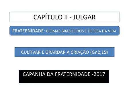 CAPANHA DA FRATERNIDADE -2017