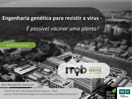 Engenharia genética para resistir a vírus -