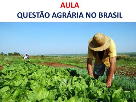 AULA QUESTÃO AGRÁRIA NO BRASIL