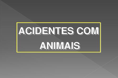ACIDENTES COM ANIMAIS.