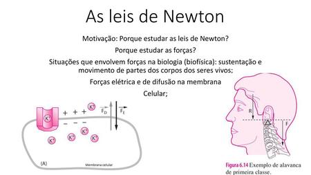 As leis de Newton Motivação: Porque estudar as leis de Newton?