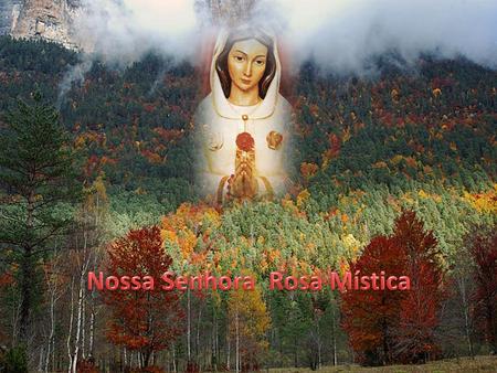 Nossa Senhora Rosa Mística