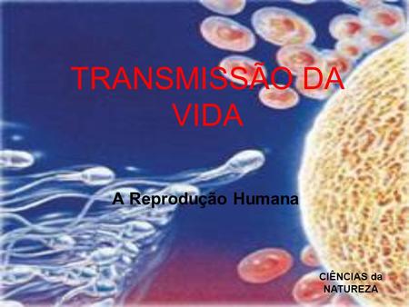 TRANSMISSÃO DA VIDA A Reprodução Humana CIÊNCIAS da NATUREZA.