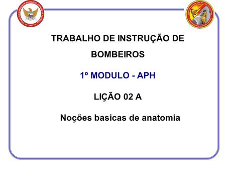 TRABALHO DE INSTRUÇÃO DE BOMBEIROS Noções basicas de anatomia