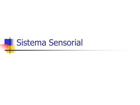 Sistema Sensorial.