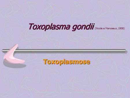 Toxoplasma gondii (Nicole e Manceaux, 1908)