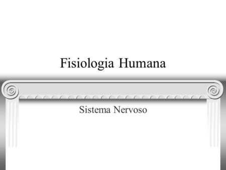 Fisiologia Humana Sistema Nervoso.