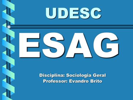 UDESC ESAG Disciplina: Sociologia Geral Professor: Evandro Brito.
