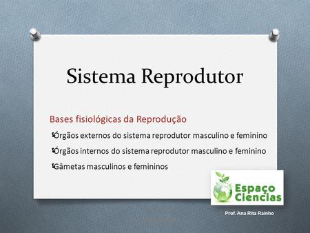 Sistema Reprodutor Bases fisiológicas da Reprodução