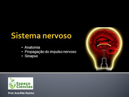 Sistema nervoso Anatomia Propagação do impulso nervoso Sinapse